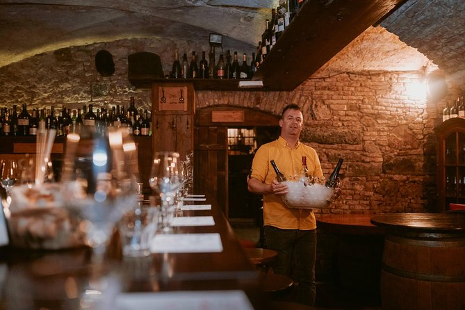 2-Hour Interactive Wine Tasting Experience in Ljubljana - A simple plan to make your 2 hours go smoothly