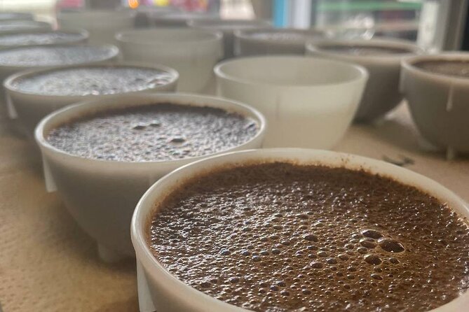 2-Hour Specialty Coffee tasting in Ljubljana - Key highlights that make this tasting worth your time