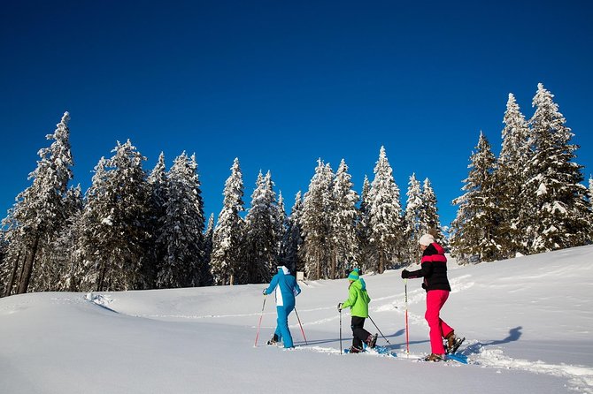 3-Hour Guided Snowshoeing Adventure in the Slovenian Alps - From Bled to the Snow: What Makes This 3-Hour Trip Work