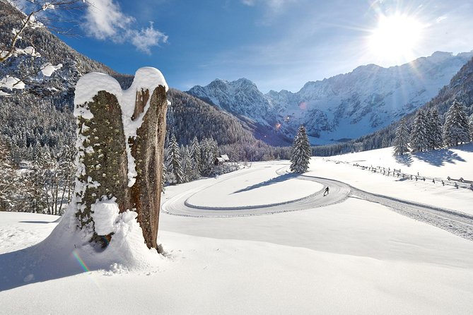 3-Hour Guided Snowshoeing Adventure in the Slovenian Alps - What You Learn While You Walk: Tracks, Geology, and Ecology