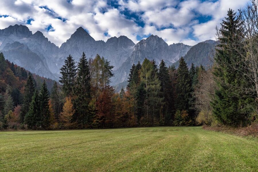 7 Alpine Wonders - Included guide attention and the little things that help