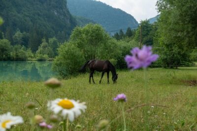 7 Alpine Wonders- Day Tour Bled, Soca valley, Slovenia