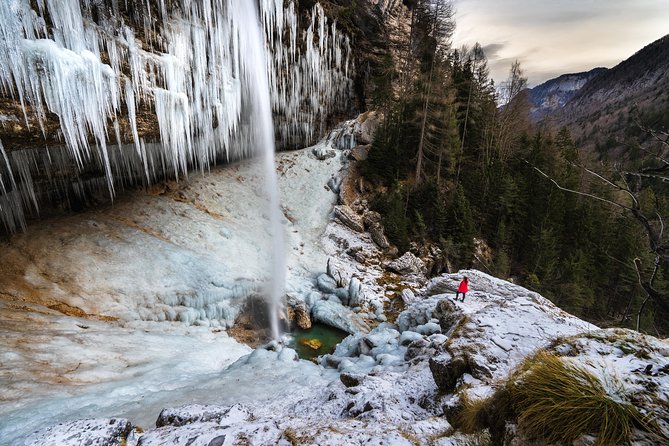 7 Alpine Wonders: Winter Edition - Lunch on Pokljuka Plateau: the included meal you will remember