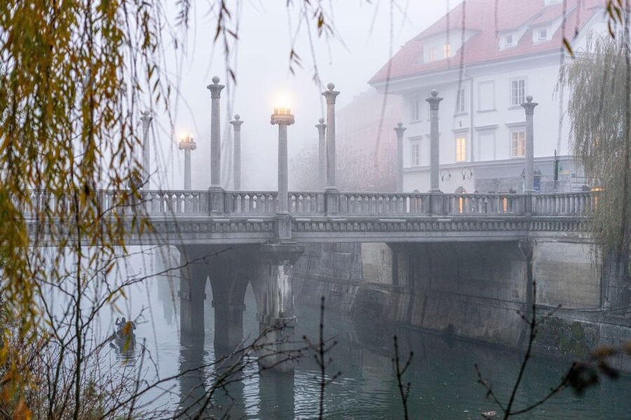 Best of Ljubljana: Private tour with Ljubljana born guide - How the guide adapts the tour to what you care about