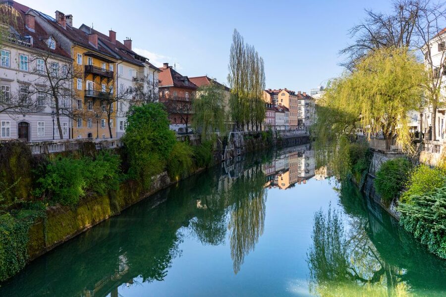 Best of Ljubljana: Private tour with Ljubljana born guide - Central Market: tastes, aromas, and a better way to learn food culture