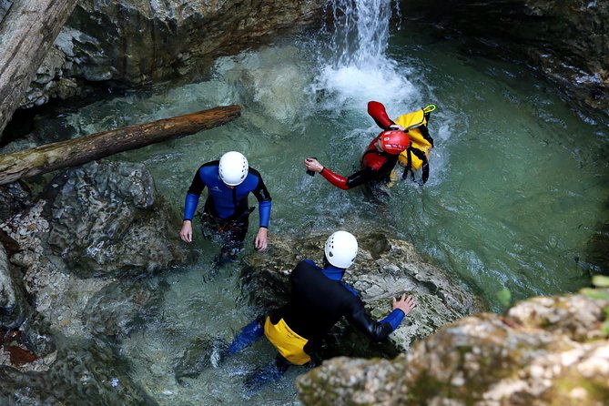 Bled and Bohinj Valley Canyoning with Hotel Pickup & Free Photos - What Happens in the Canyon, From Alpine Forest Walks to Rope Descents