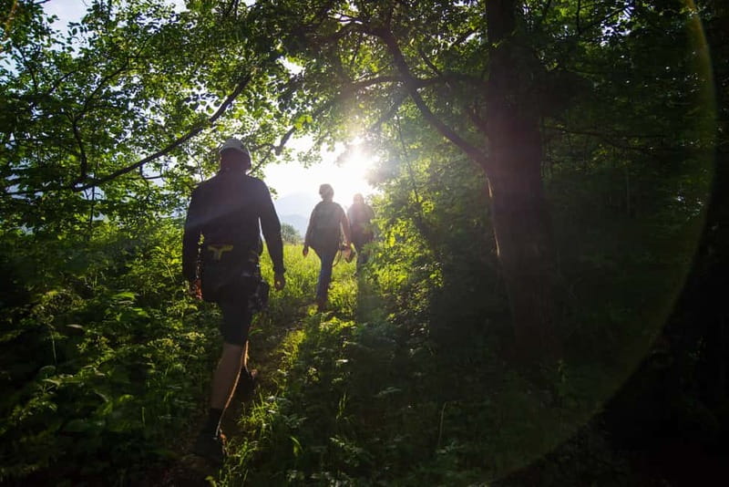 Bled: Europe's Longest Zipline Adventure over Dolinka River - The 2-Hour Zipline Run: Seven Cables Over the Sava Dolinka