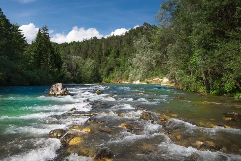 Bled: Europe's Longest Zipline Adventure over Dolinka River - Who This Tour Is For, and Who Should Skip It