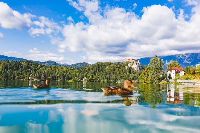 Bled lake, island & castle | Private half day trip from Ljubljana - Key Highlights You’ll Feel Immediately