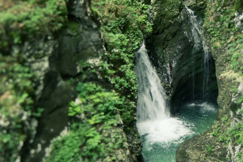 Bled: Triglav National Park Canyoning Adventure with Photos - Who should book this canyoning day trip from Bled