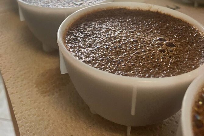 Coffee Sensory Training in Ljubljana - The CSP Sensory Skills Foundation certificate, and what it means for your coffee life