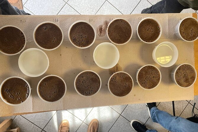 Coffee Sensory Training in Ljubljana - Your first sensory workout: calibrating basic tastes