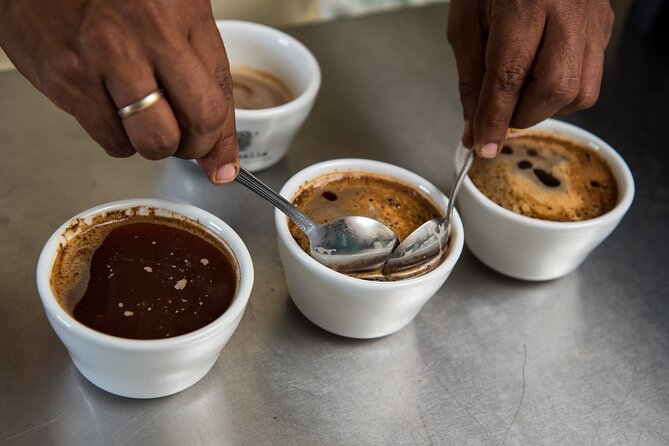 Coffee Tasting Experience - Learning the farm-to-cup story that actually helps you taste better