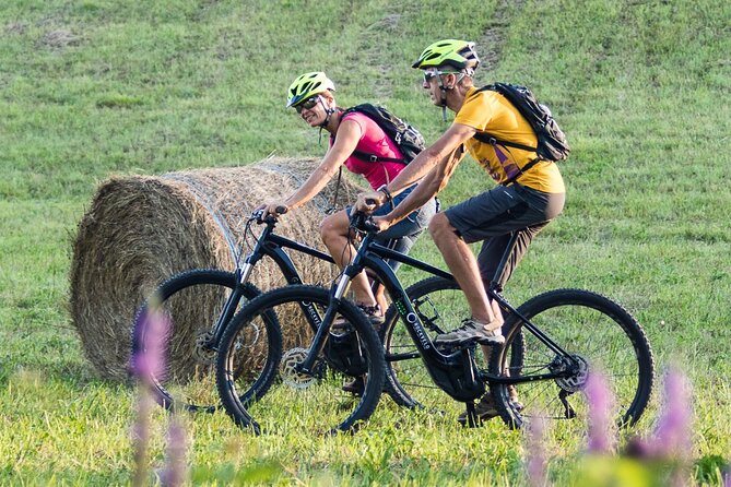 E-Bike Rental in South-West Slovenia - RockVelo Setup: Bikes, Warm Welcome, and What You Actually Get