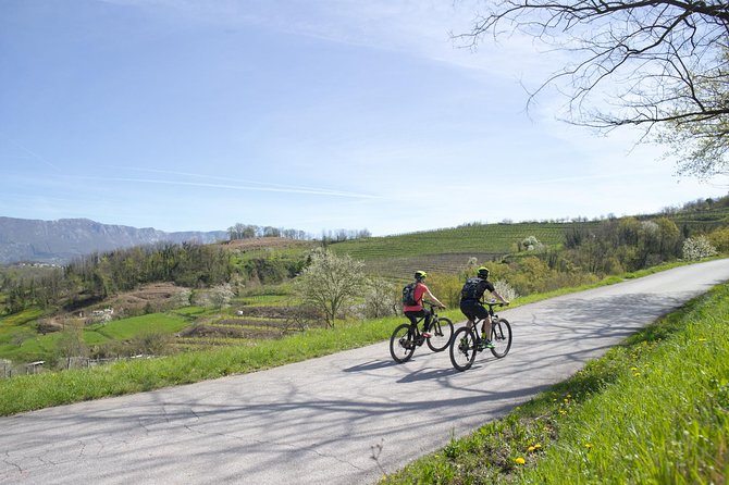 E-bike Vipava River Tour - Bikes, route help, and why this works for beginners and families