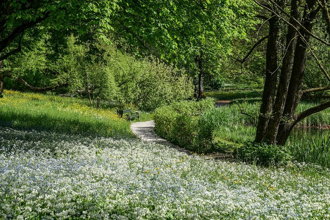 Exploring Ljubljana by Bicycle - Bikes, helmets, and easy cycling through city lanes