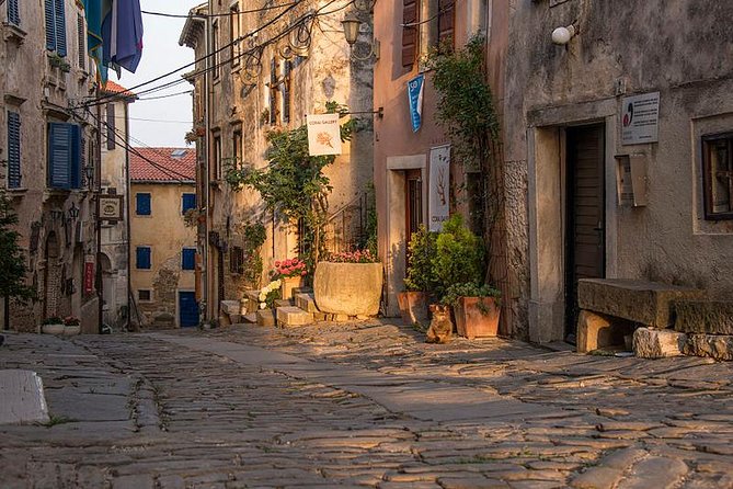 Flavours of Istria Tasting Experience from Koper - What You Taste, and How to Get the Most From the Sampling