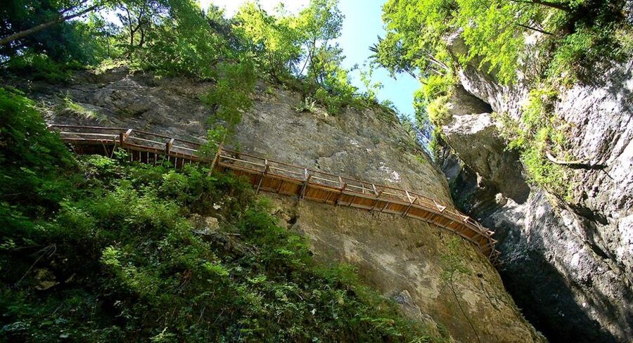 From Bled: Half-Day Pokljuka Gorge Trail Hike (Private) - Key things to know before you go
