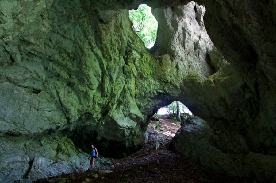 From Bled: Half-Day Pokljuka Gorge Trail Hike (Private) - Private pick up and a guide who matches the pace