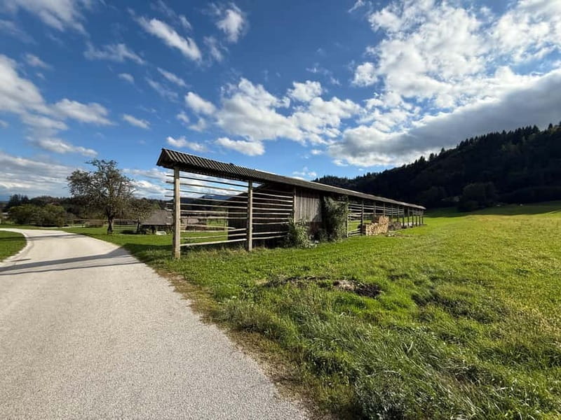 From Bled: Self Guided E-Bike Trip to Triglav National Park - The Route in Plain English: Bled to Krnica, Then Into Deeper Valley Views