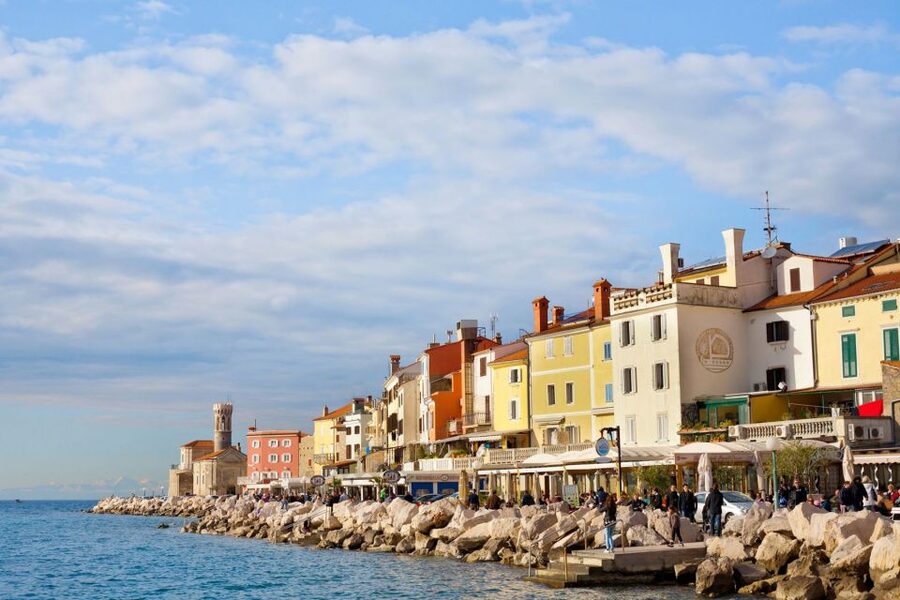 From Koper: Piran and Panoramic Slovenian Coast Tour - Starting in Koper and Getting the Coast Rhythm Fast