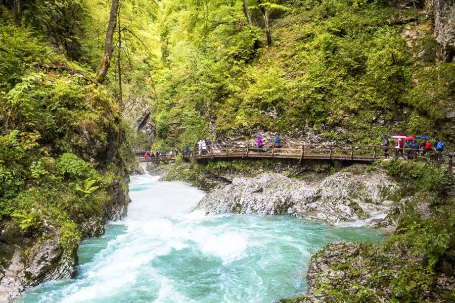 From Ljubljana: Day Trip to Bled and Vintgar Gorge - Skofja Loka: A Medieval Town Stop That Balances the Day