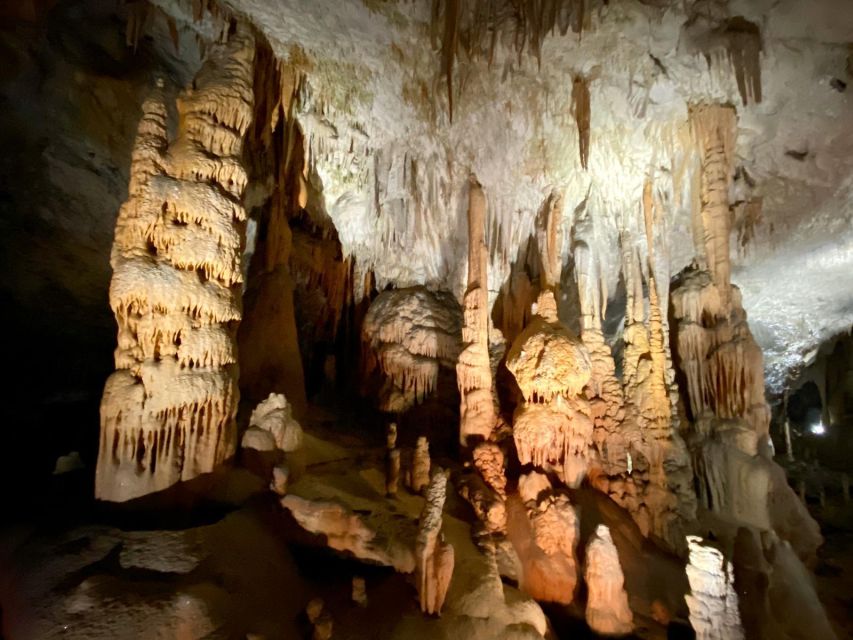 From Ljubljana: Postojna Cave Day Trip - The cave train ride and what it changes for you