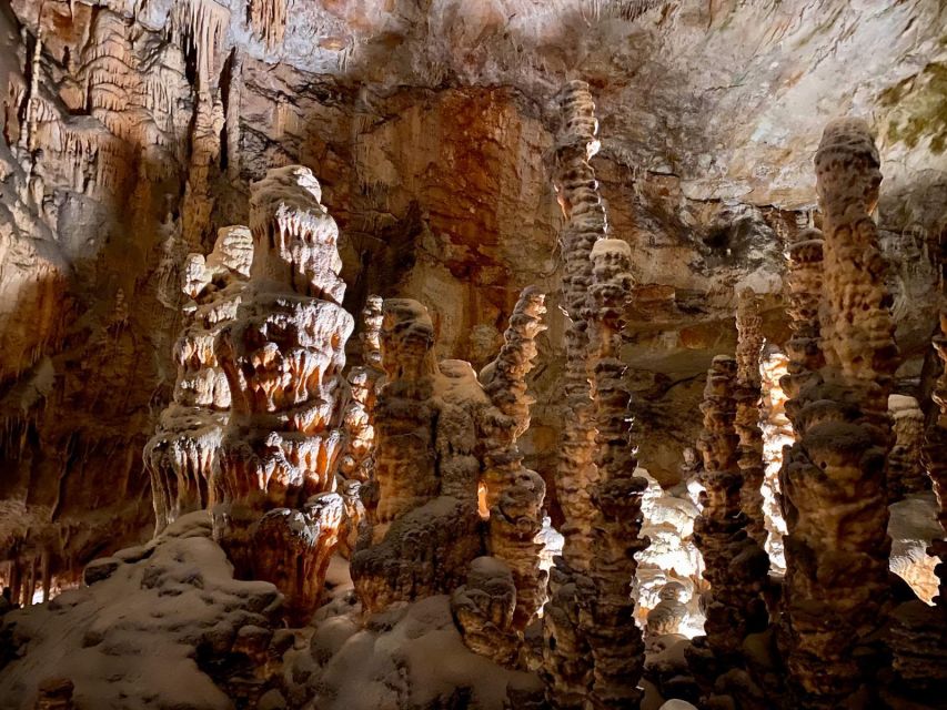From Ljubljana: Postojna Cave Day Trip - Walking the limestone galleries: where the guide makes it make sense