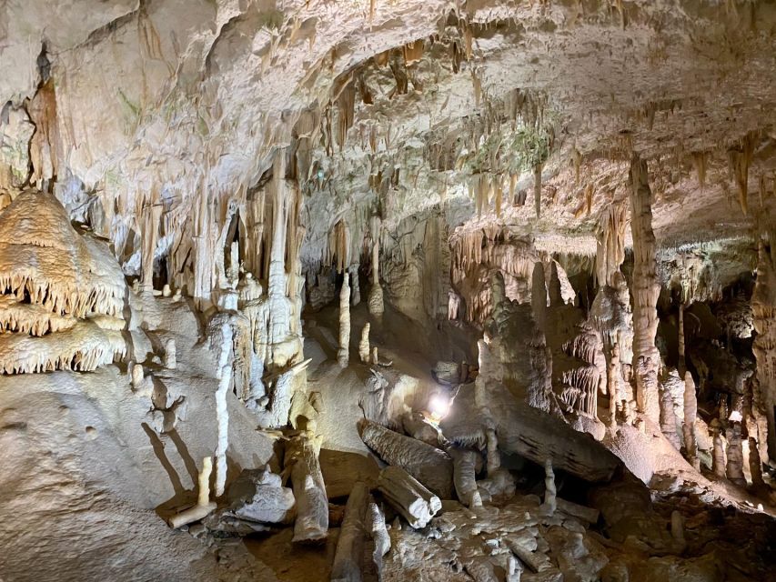 From Ljubljana: Postojna Cave Day Trip - Lunch and souvenirs near the ticket area, and how to make it work