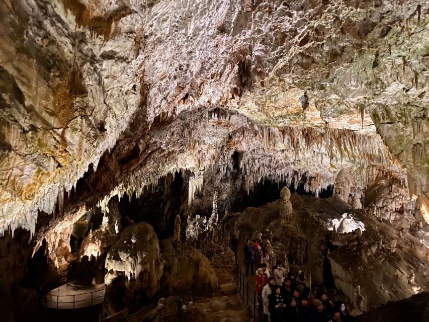 From Ljubljana: Postojna Cave Day Trip - Private pickup timing: from 8:30 AM to your return to Ljubljana