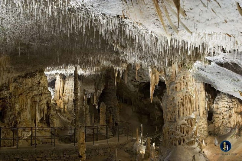 From Ljubljana: Postojna Cave, Predjama Castle, & Piran Tour - Key things to notice before you go