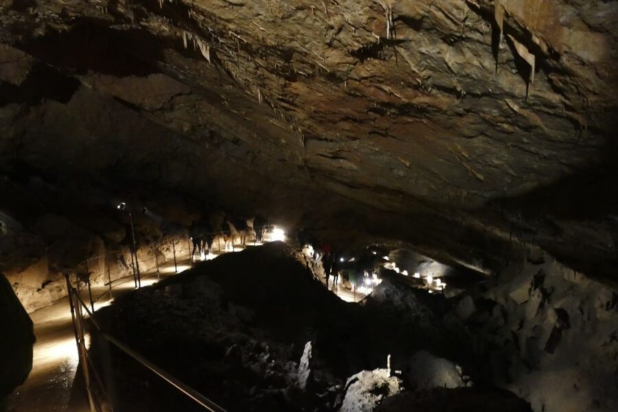 From Ljubljana: Skočjan Caves Half-Day Trip - Why Škocjan Caves Feel Worth the Ride from Ljubljana
