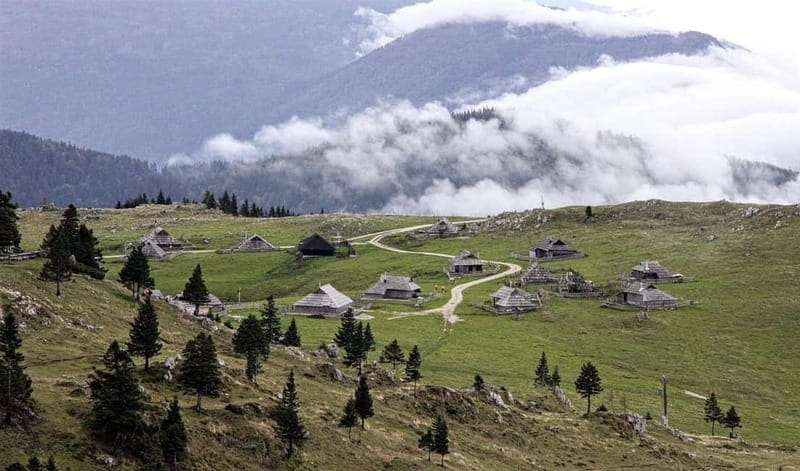 From Ljubljana: Velika Planina Guided Hike - Key things to know before you go