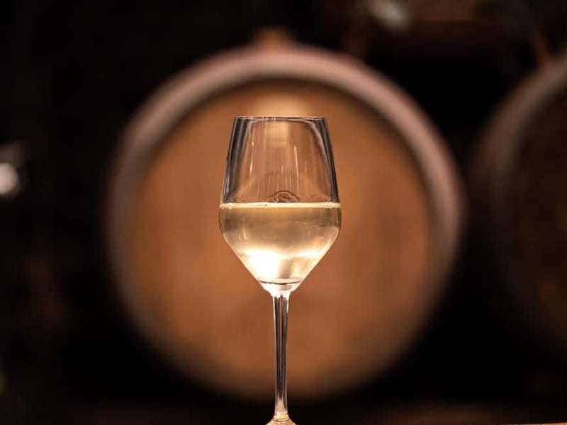From Ljubljana: Vipava Valley Wine Express Tour - A 5-hour “wine express” plan that actually works on a trip schedule