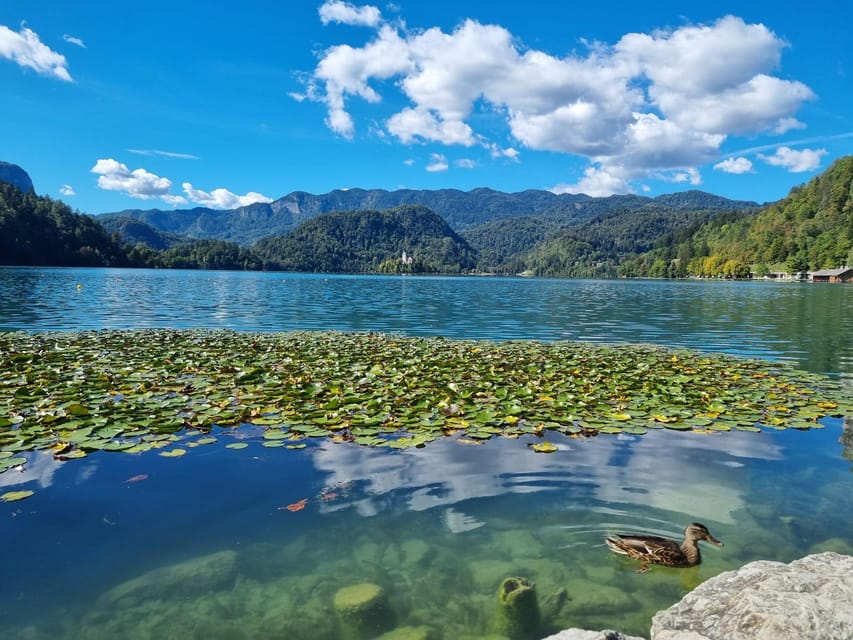 From Zagreb: Highlights Day Tour to Bled and Ljubljana - Zagreb to Slovenia by Car, with a Clear Game Plan