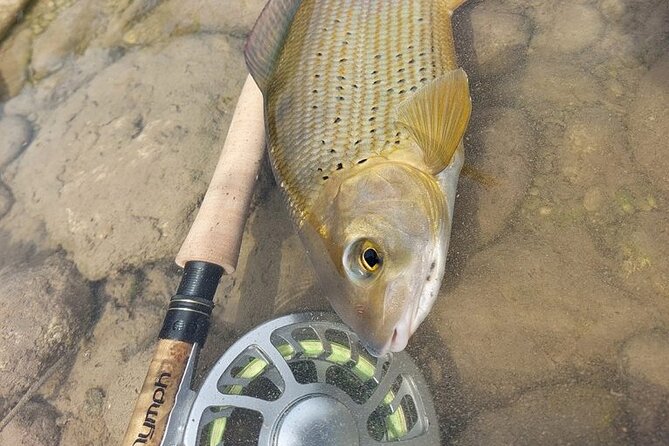 Full Day Private Guided Fishing Charter along the Isonzo Front - What Is Actually Included in the Private Charter