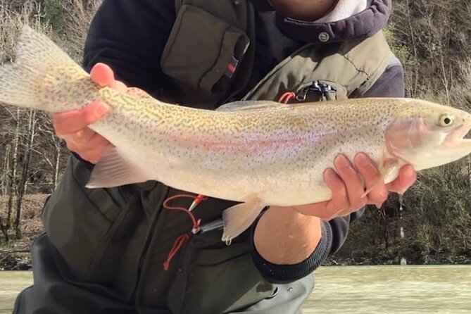 Full Day Private Guided Fishing Charter along the Isonzo Front - Marble Trout Focus, Plus Chances for Rainbow Trout