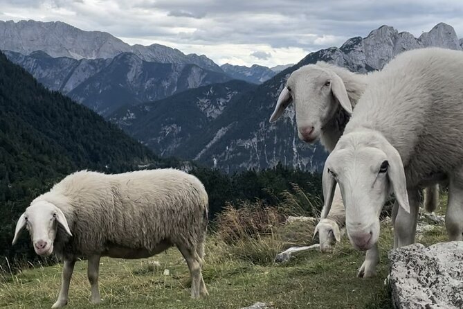 Full-Day Triglav National Park Tour from Ljubljana - Packing, pacing, and weather reality for a 7am to evening day