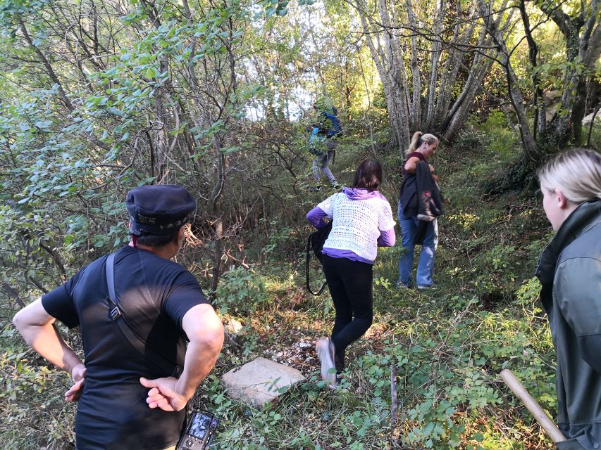 Gažon to Istria: Truffle Hunting, Cooking & Tasting - Truffle hunting in Gažon is a mystery you can smell