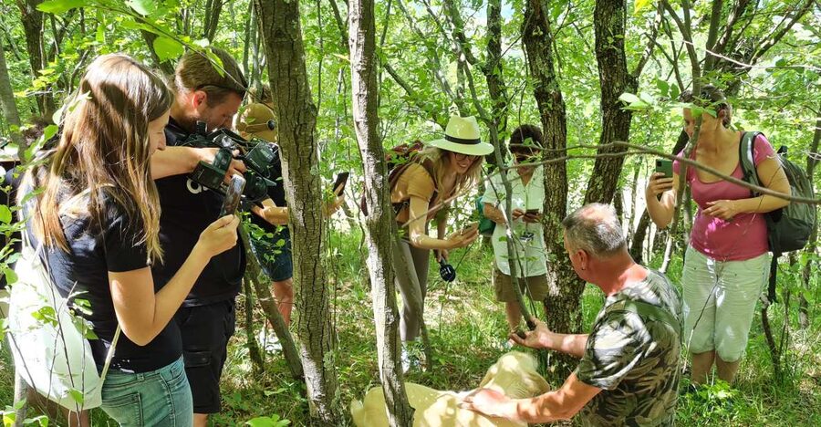 Gažon to Istria: Truffle Hunting, Cooking & Tasting - A short walk plus a secret stop, designed for attention