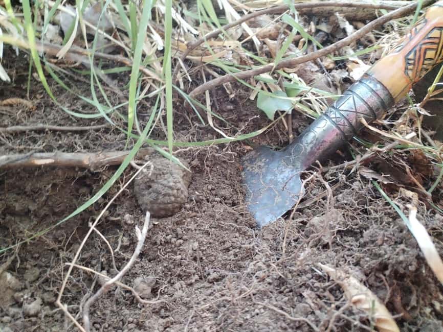 Gažon to Istria: Truffle Hunting, Cooking & Tasting - Who should book this, and who might feel mismatched