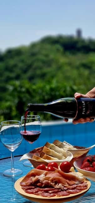 Goriška Brda: Wine Tasting with Local Snacks - Key things that make this Brda tasting worth your time
