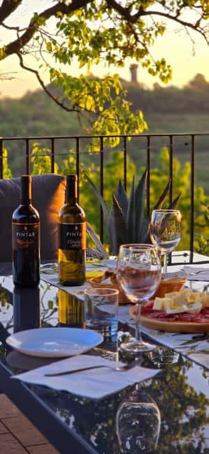 Goriška Brda: Wine Tasting with Local Snacks - Meeting your host, and why the private group format matters
