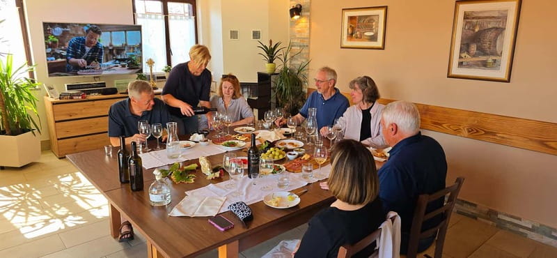 Goriška Brda: Wine Tasting with Local Snacks - The 1.5-hour flow: what you experience during the tasting