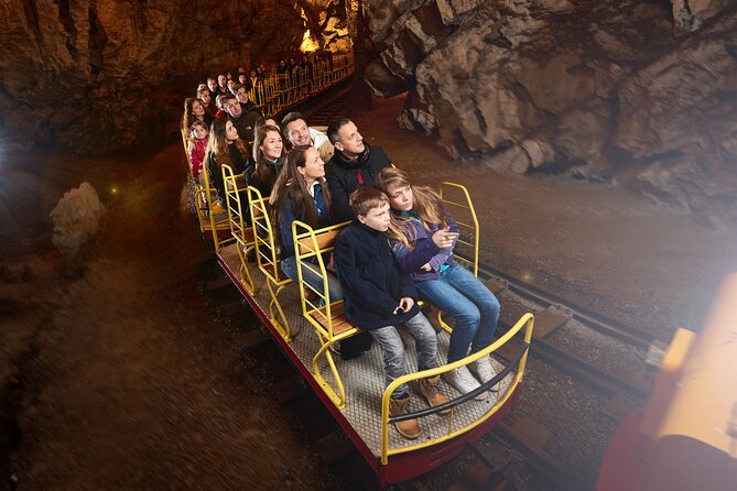 Half day tour to Postojna cave - Private tour from Koper - Private Tour Expectations: What Private Really Means Here