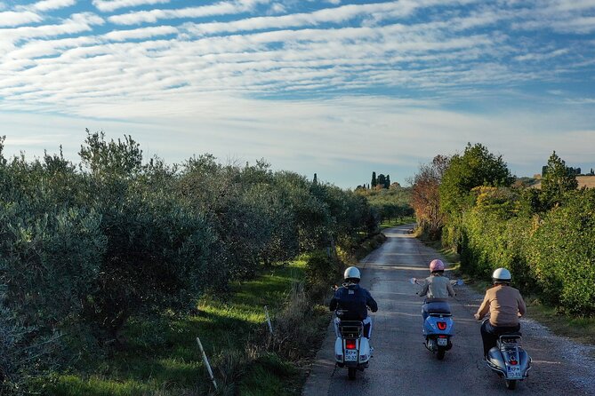 Half Day Vespa Countryside Tour and Tastings in Istria - Secovlje Salina Nature Park: salt flats and quick photo time