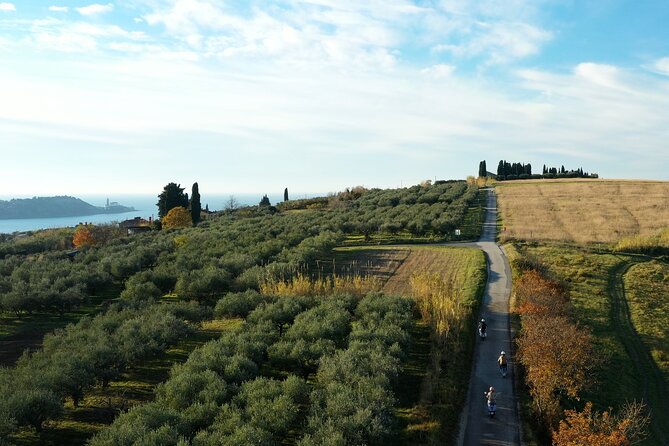 Half Day Vespa Countryside Tour and Tastings in Istria - The Vespa practicalities that can make or break your ride