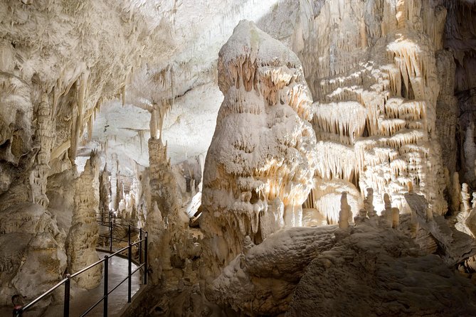 Highlights of Slovenia - Postojna & Bled (Tickets included) - Postojna Cave: Underground Train and the Cold You Might Forget