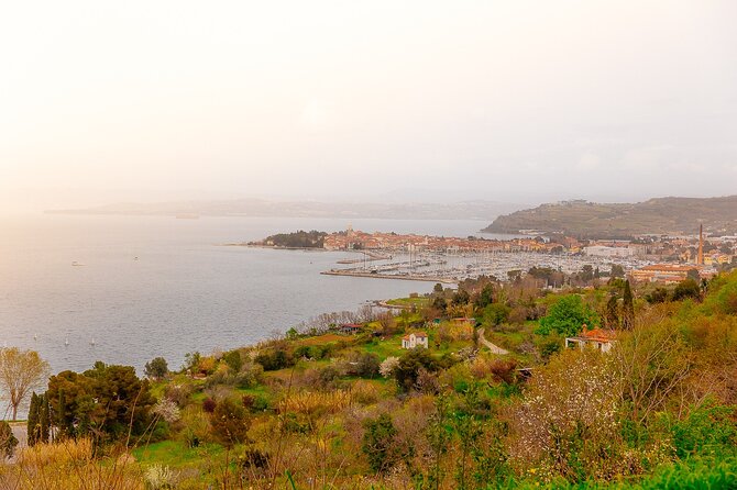 Hop & Taste Slovenian Riviera Hop-On Hop-Off & Local Bites - Why This Riviera Day Feels Worth It (Even at $47)