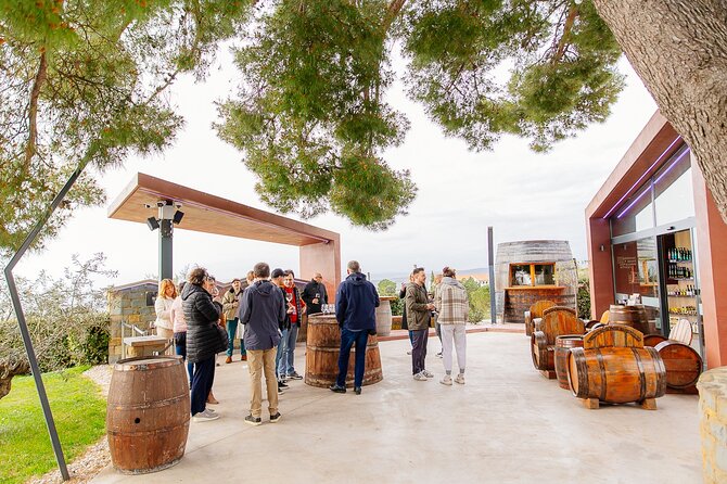 Hop & Taste Slovenian Riviera Hop-On Hop-Off & Local Bites - Tour guides make or break it, and it shows